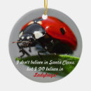 Zoek naar ladybug ornamenten Kerst