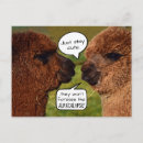 Zoek naar alpacas briefkaarten Grappig