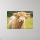 Zoek naar koe druk posters Vee