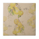 Zoek naar lemon tegels Citroen