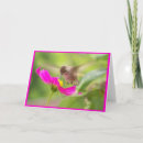 Zoek naar kolibrie kaarten Tuin