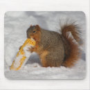 Zoek naar eekhoorn muismatten Natuur