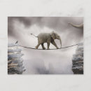 Zoek naar ravijn posters Vogel