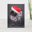 Zoek naar grappige pugs kaarten Kersttenten