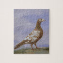 Zoek naar duif puzzels Duiven