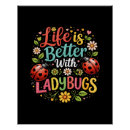 Zoek naar lieveheersbeestjes posters Insect
