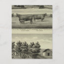 Zoek naar gardner Lithografie
