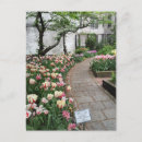 Zoek naar tulip briefkaarten Natuur