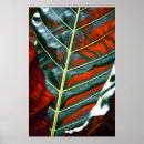 Zoek naar groen plant posters Tropisch