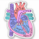 Zoek naar anatomische stickers Cardioloog
