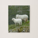 Zoek naar wales puzzels Schotland