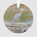 Zoek naar reiger ornamenten Vogel