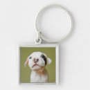 Zoek naar bull sleutelhangers Puppy