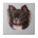 Zoek naar chihuahua tegels Chiwawa