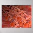 Zoek naar digitaal geproduceerd afbeelding posters Geneeskunde