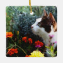 Zoek naar tabby cat ornamenten Feliene