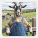 Zoek naar geiten stickers Elk persoon