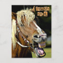 Zoek naar laughing briefkaarten Humor