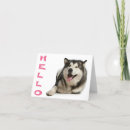 Zoek naar alaskan malamute kaarten Hond