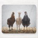 Zoek naar kippen muismatten Natuur