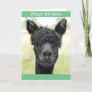 Zoek naar alpaca kaarten Schattig