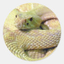 Zoek naar albino stickers Slang