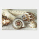 Zoek naar zeesterren stickers Beach