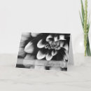 Zoek naar dahlia kaarten Pretty