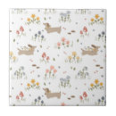 Zoek naar teckel tegels Voor iedereen