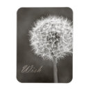 Zoek naar wish magneten Floreel