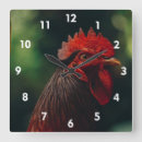 Zoek naar hanen klokken Haan