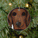 Zoek naar dackel ornamenten Dachshund