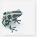 Zoek naar gevaren stickers Horizontaal