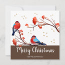 Zoek naar robin kaarten Bes