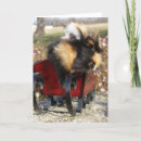 Zoek naar cavia kaarten Schattig