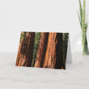 Zoek naar reuzen kaarten Groot