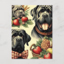 Zoek naar mastiff briefkaarten Schattig