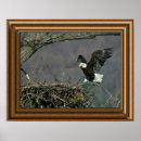 Zoek naar framed print posters Natuur