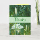 Zoek naar knoflook briefkaarten Kruiden