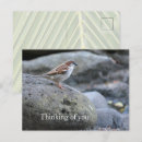 Zoek naar stenen briefkaarten Tropisch