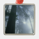 Zoek naar usa ornamenten California