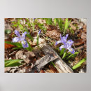 Zoek naar miniatuur posters Elk persoon