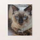 Zoek naar ragdoll puzzels Huisdier