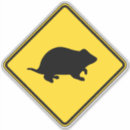 Zoek naar hamsteren stickers Humor