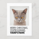 Zoek naar grappige vakantie briefkaarten Kat