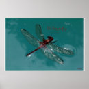 Zoek naar vliegend insect posters Elk persoon