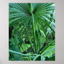 Zoek naar tropisch plant posters Natuur