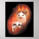 Zoek naar kat meme posters Grappig