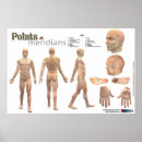 Zoek naar chinese geneeskunde posters Meridianen