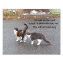 Zoek naar grappige groet posters Voor haar